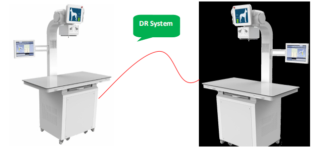 WMV-670B Veterinary Portable X Ray System