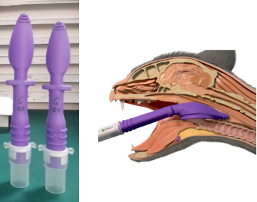 V-GEL-R Rabbit with endotracheal tube