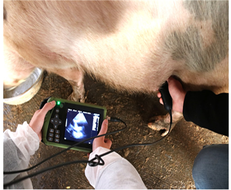 WMV-200BWP  Veterinary B/W Palm Ultrasound Scanner