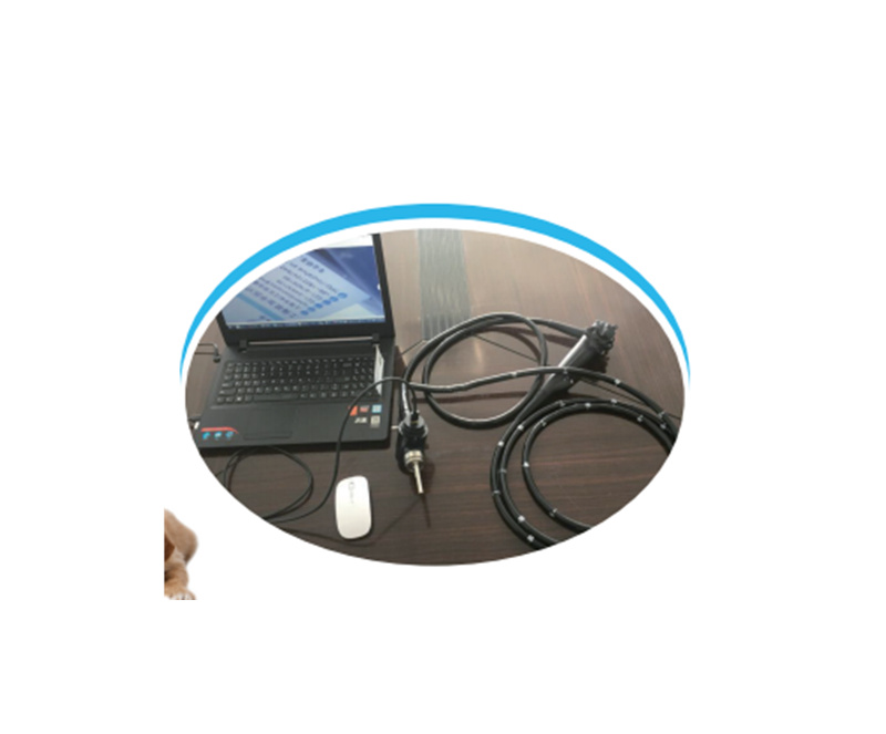 WMV-6000B Veterinary endoscope