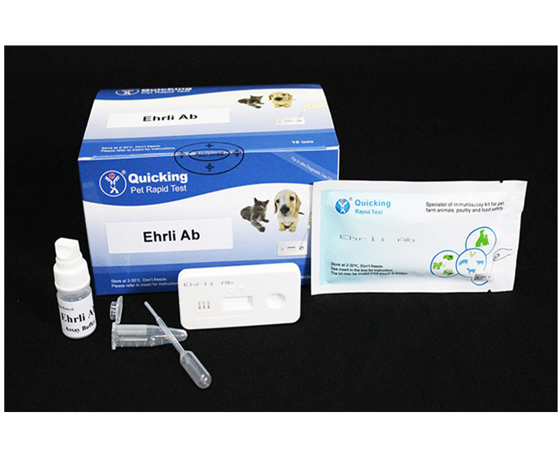 E.canis Ab Rapid Test