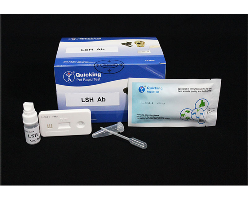 LSH Ab Rapid Test