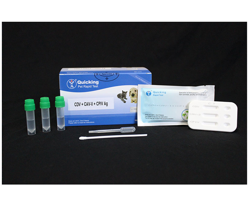 CDV+CAV-II+CPIV Ag Triple Rapid Test