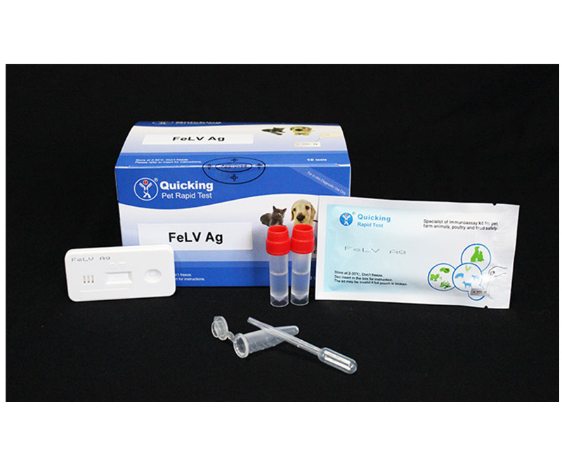 FeLV Ag Rapid Test