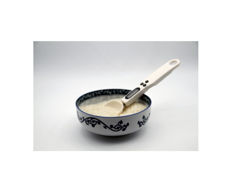 WMV 641A animal Medicine spoon scaled