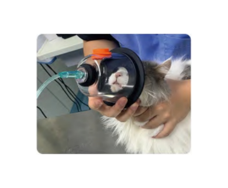 VETERINARY OXYGEN MASK