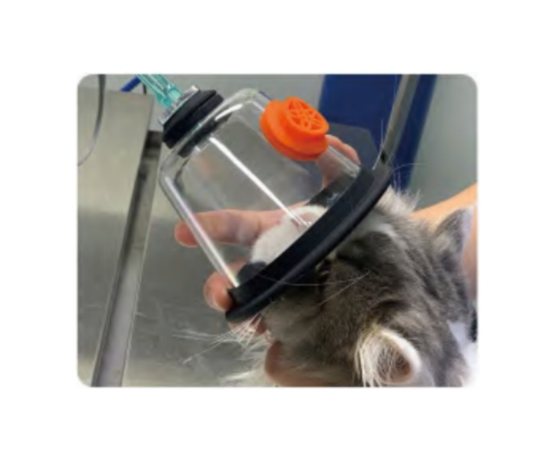 VETERINARY OXYGEN MASK